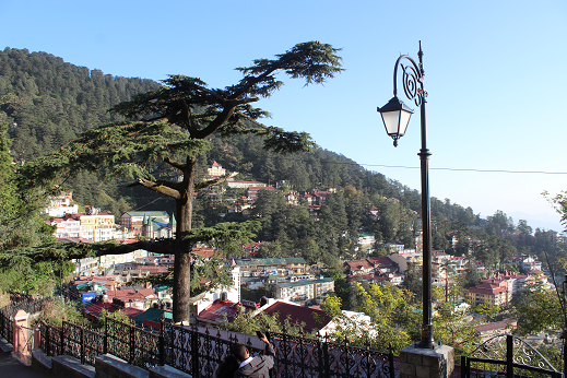 Shimla