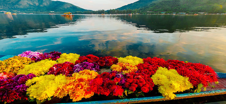 Srinagar