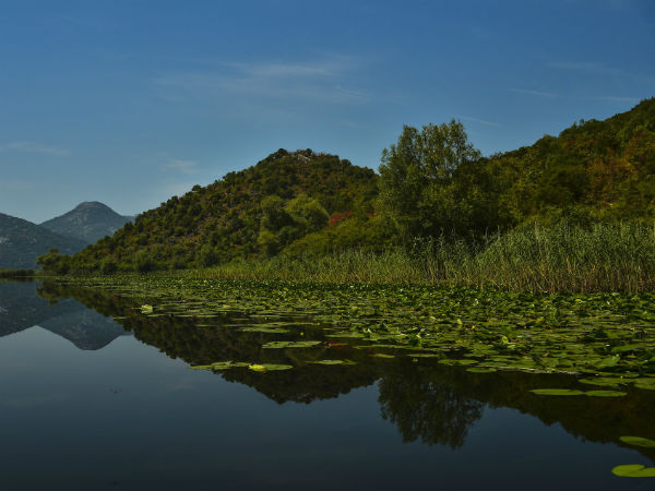 Daringbari