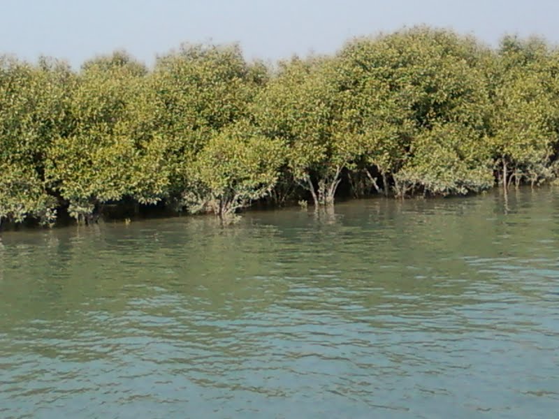 Bakkhali