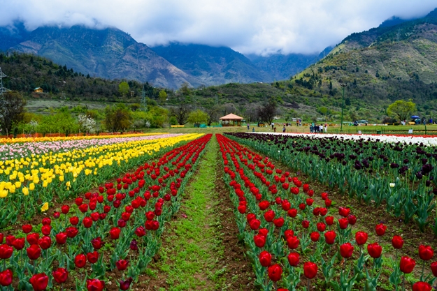 Srinagar