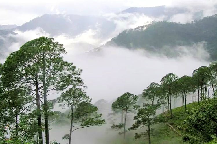 Araku valley
