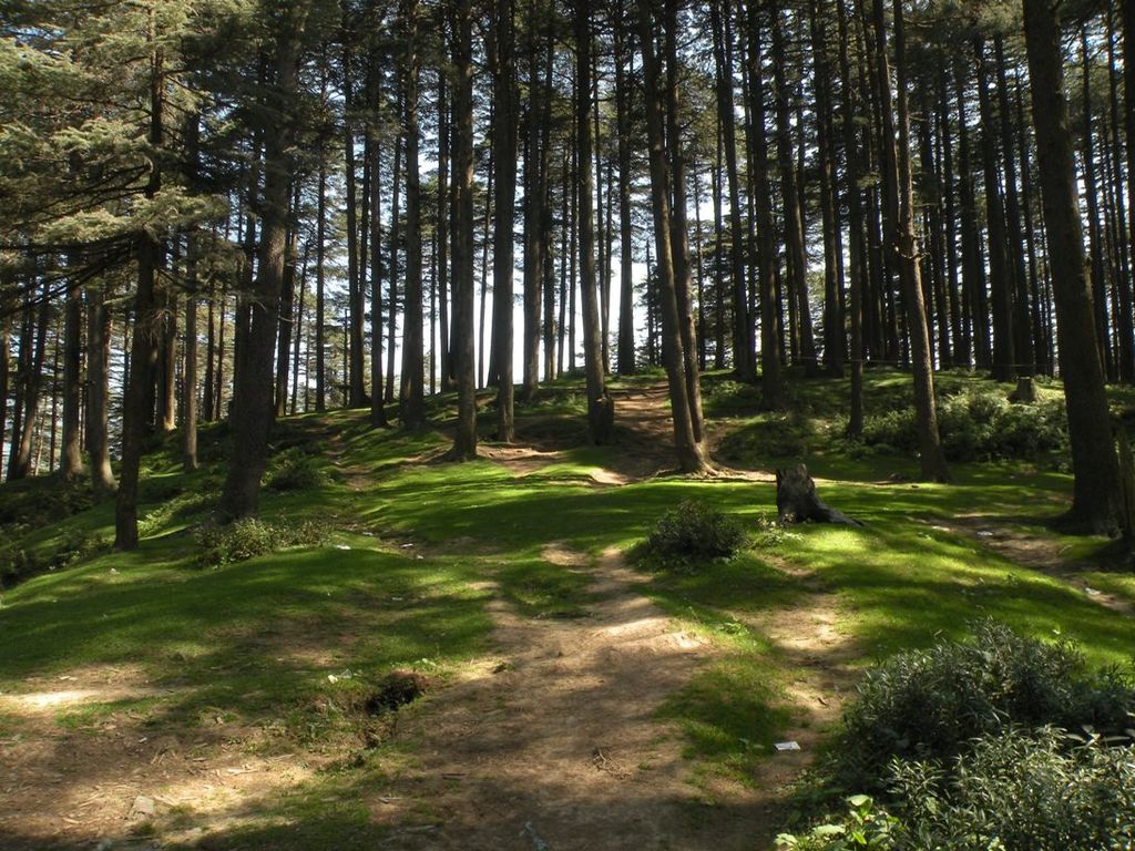 Patnitop