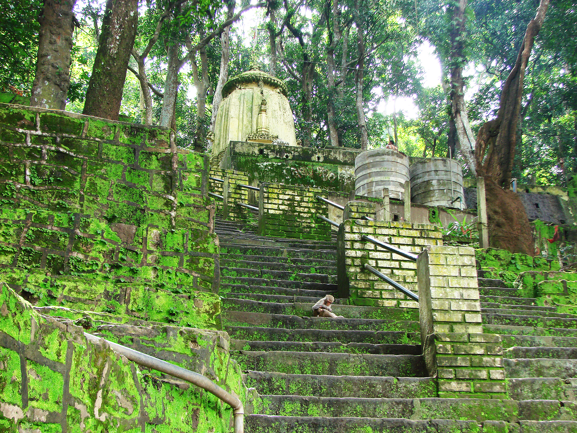 Kopilash