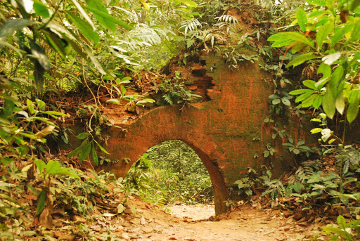 Chilapata