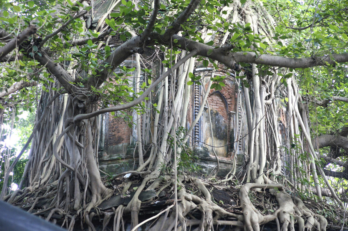 Nabadwip